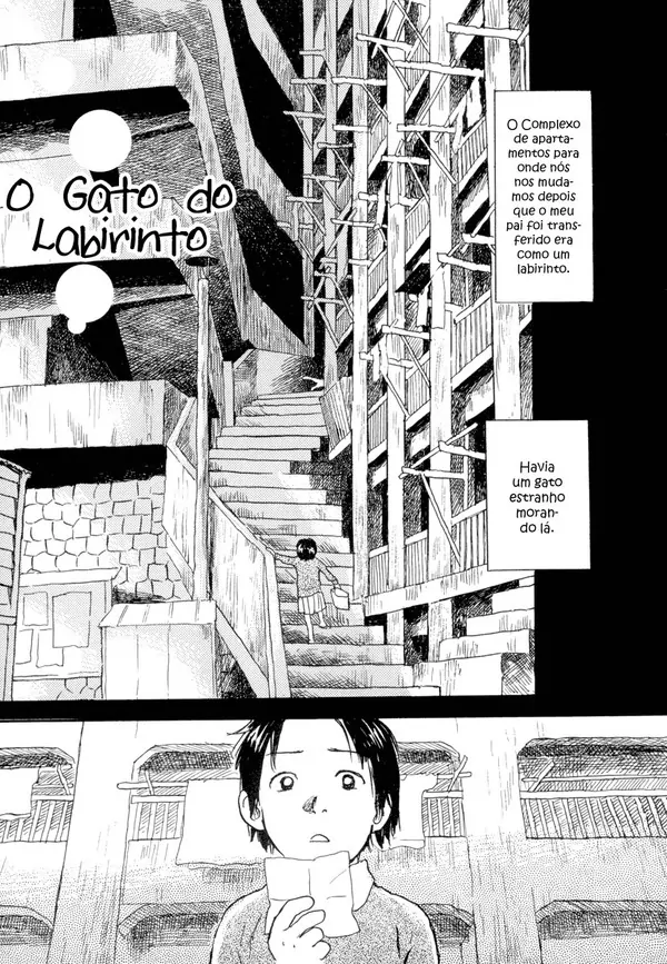 O Gato do Labirinto